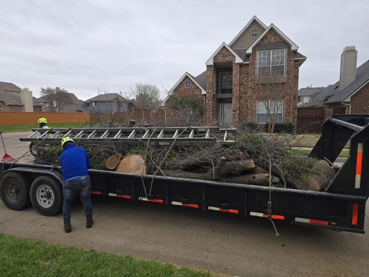 Expert Tree Fertilization with proper safety equipment in Westpoint